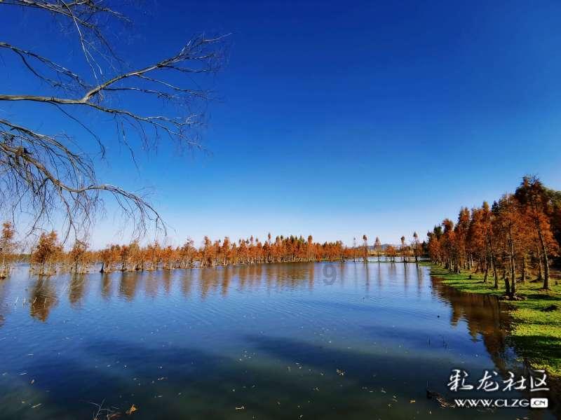 有什么方法可以上自己的妈妈?-分享与探讨的社区平台